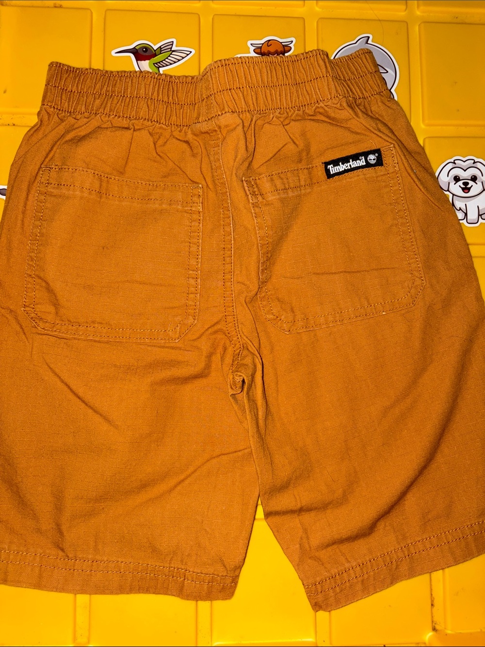Timberland Orange Flat Front Boys' Shorts with Back Patch Pockets